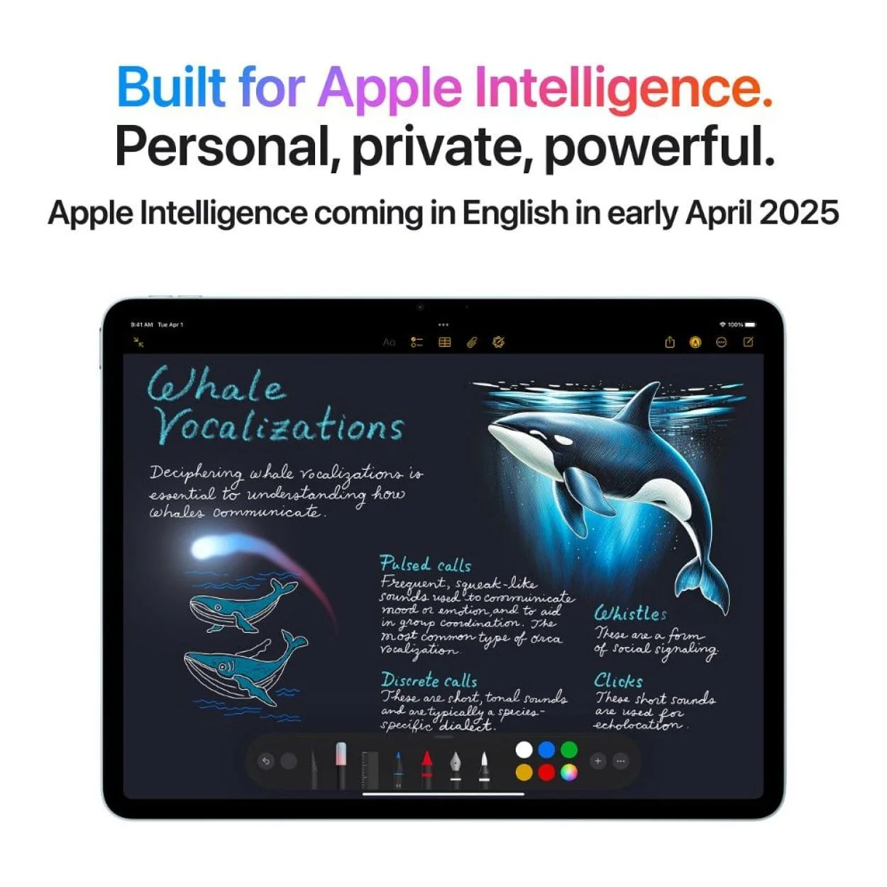Apple iPad Air 11-inch Tablet - Apple M3 1TB ROM 8GB RAM Wi-Fi 5G iPadOS 18 Space Grey - Image 6