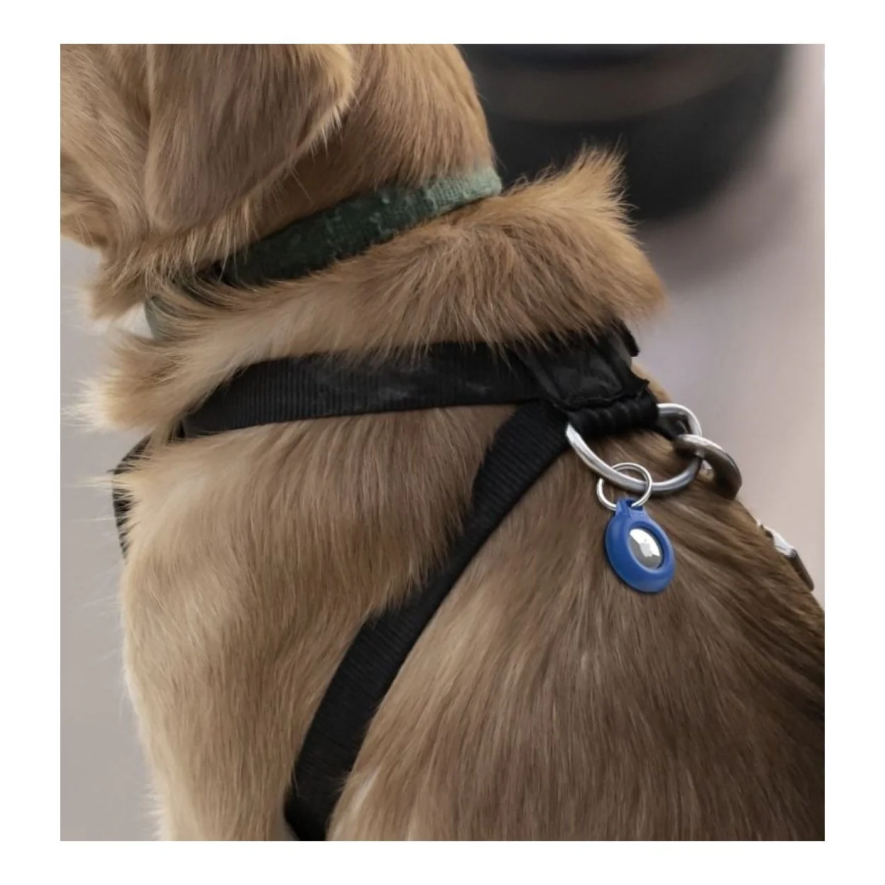 Belkin Waterproof Secure Holder with Key Ring for AirTag Blue MSC013btBL - Image 8