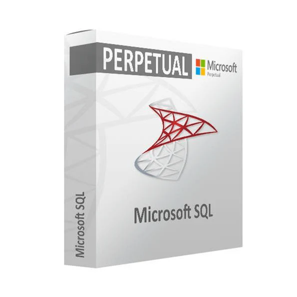 Microsoft SQL Server 2022 1 User CAL - Perpetual License