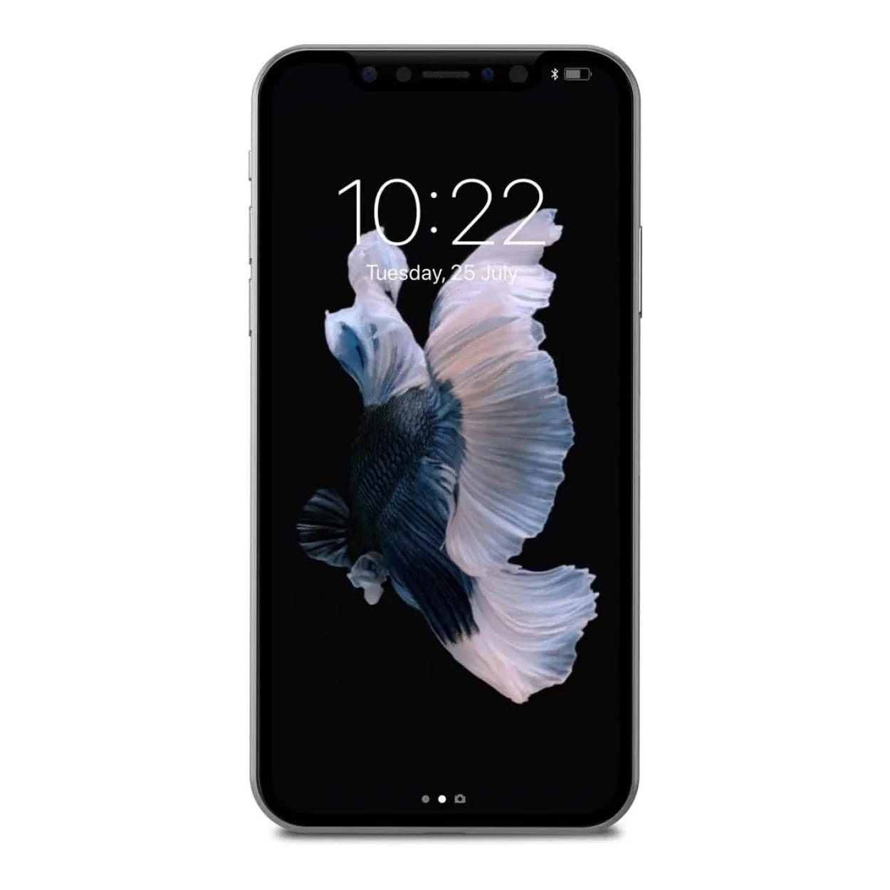 Moshi IonGlass Privacy Screen Protector for iPhone 11 Pro 99MO115003 - Image 3