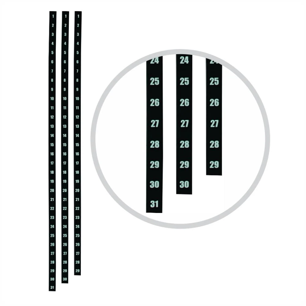 Parrot Part - Year Planner Date Strips (900mm)