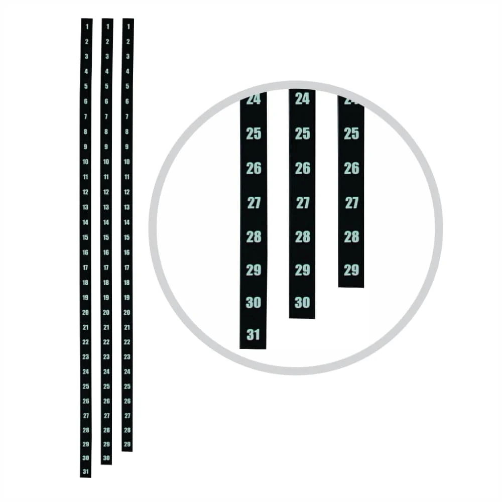 Parrot Part - Year Planner Date Strips (900mm) - Image 2