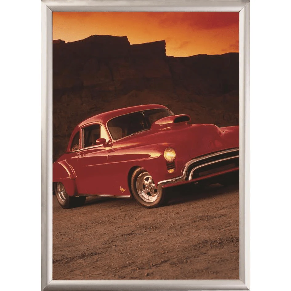 Parrot Security Poster Frame A4 BG1104