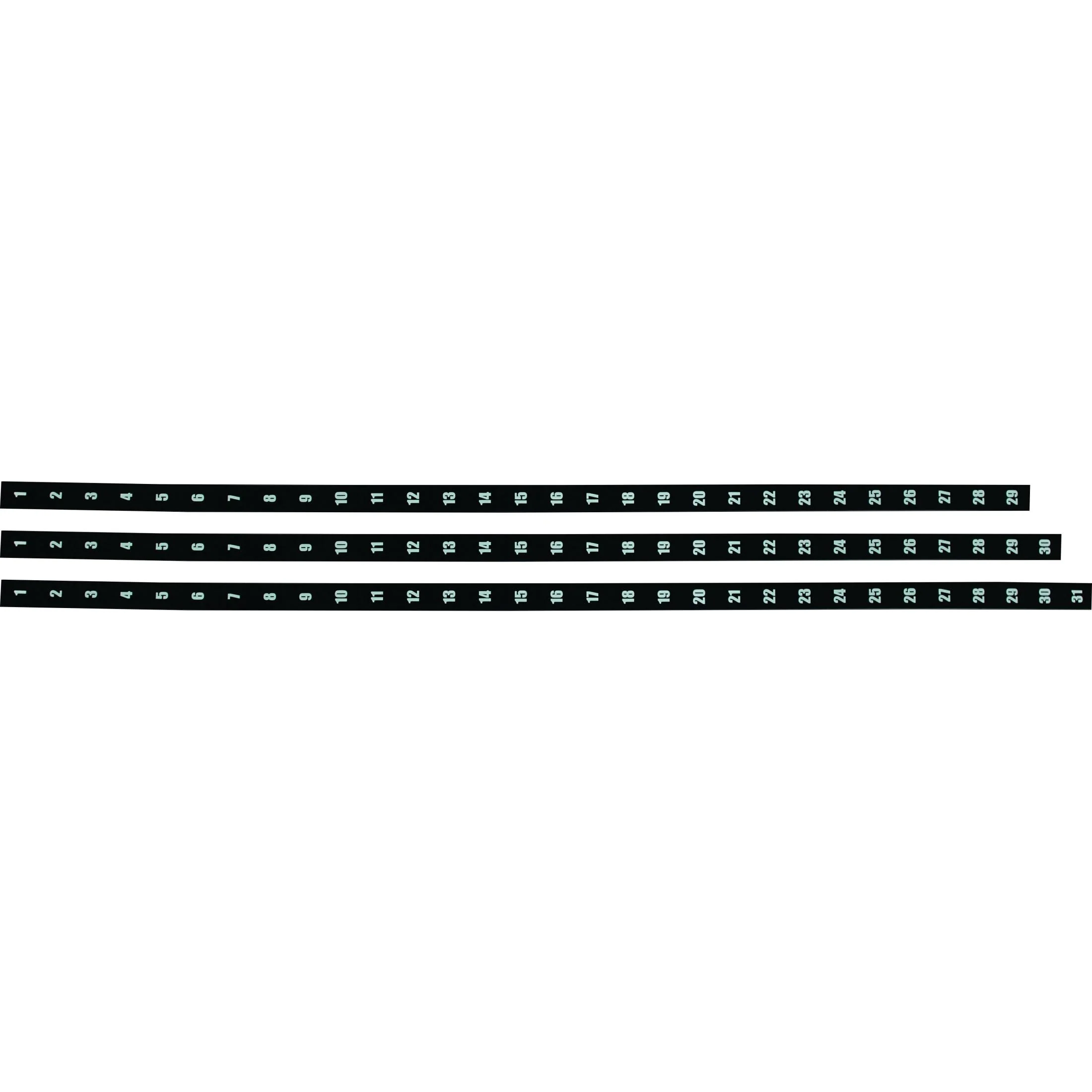 Parrot Year Planner Date Strips 1200mm AL3041