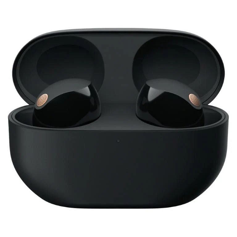Sony WF-1000XM5 Wireless Noise Cancelling Earbuds - Black WF-1000XM5/BME