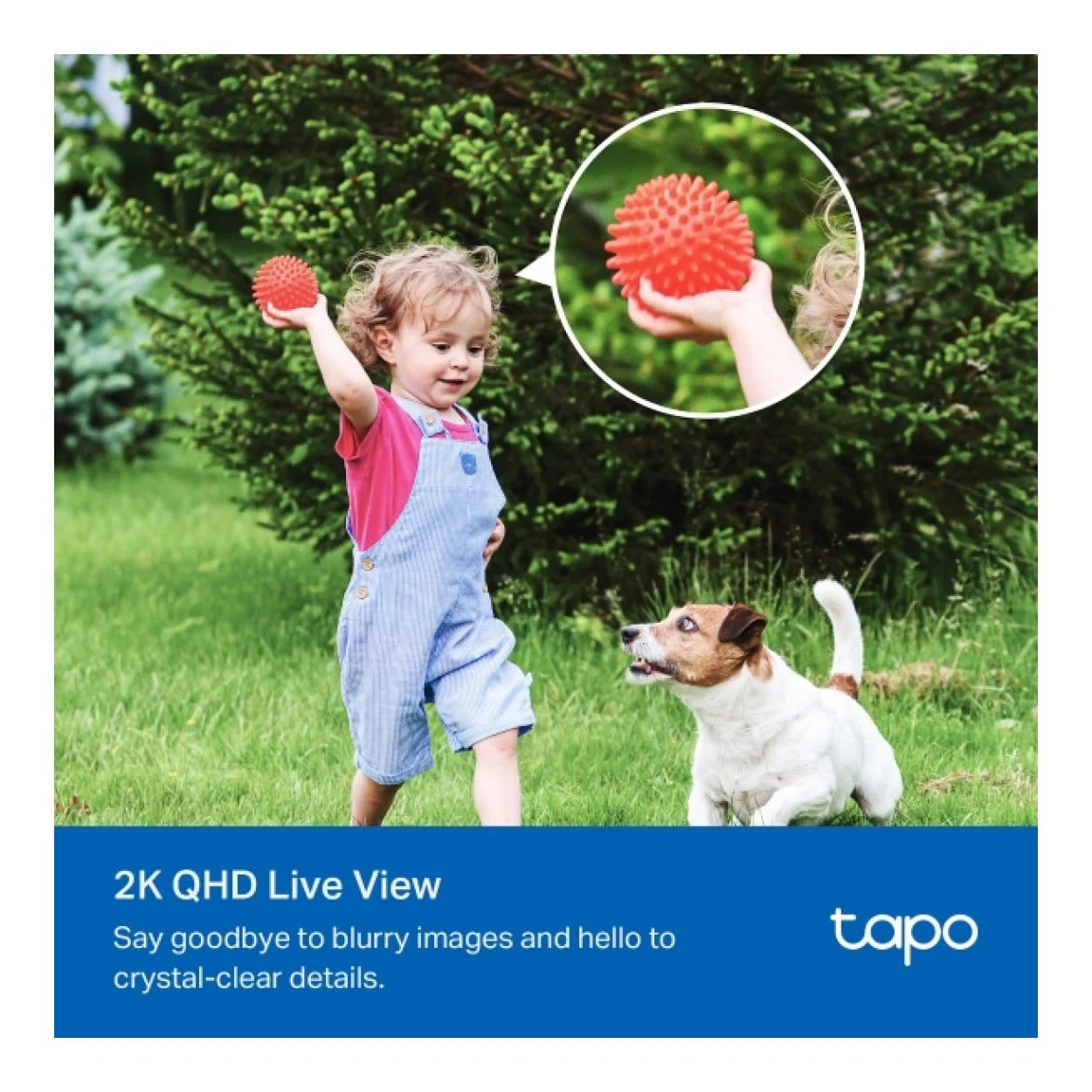 TP-Link Tapo C425 Solar-Powered Security Camera Kit - Image 8
